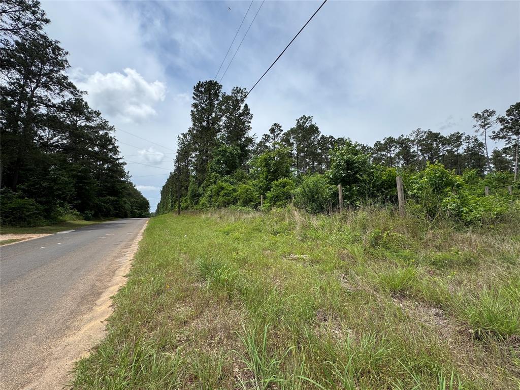 1859 Mill Gate Road, Livingston, Texas image 5
