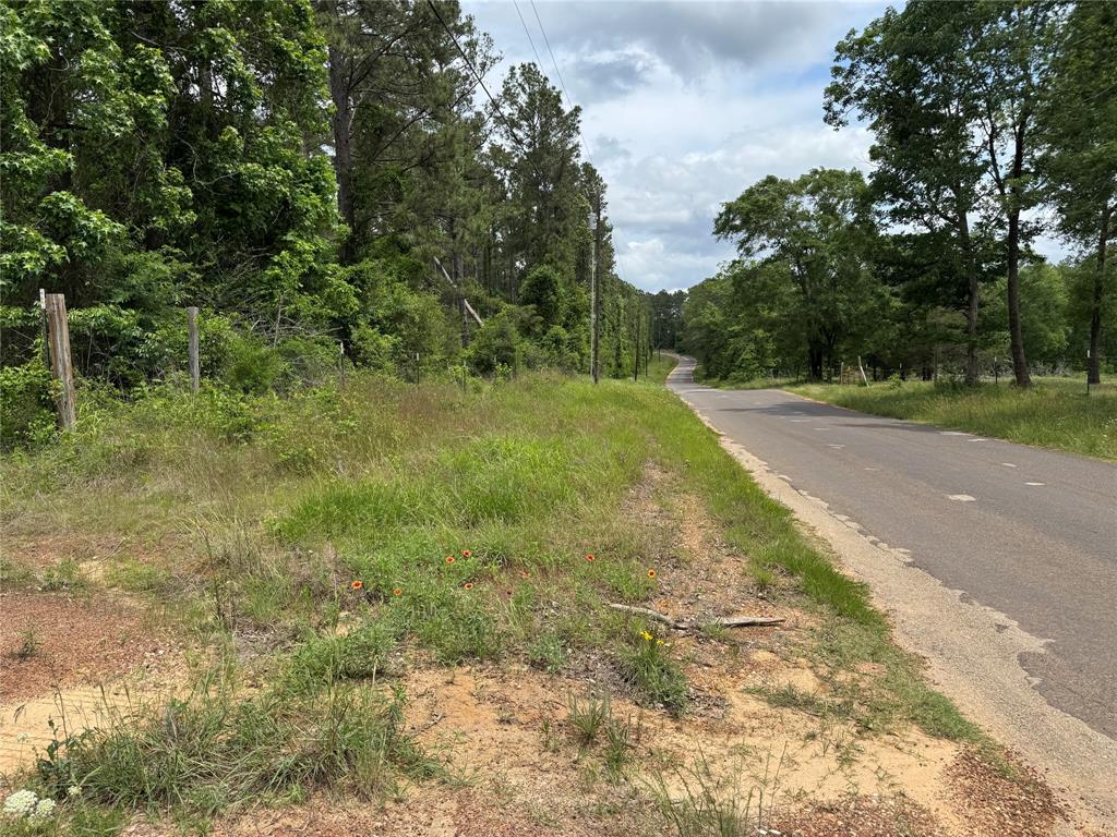 1859 Mill Gate Road, Livingston, Texas image 6