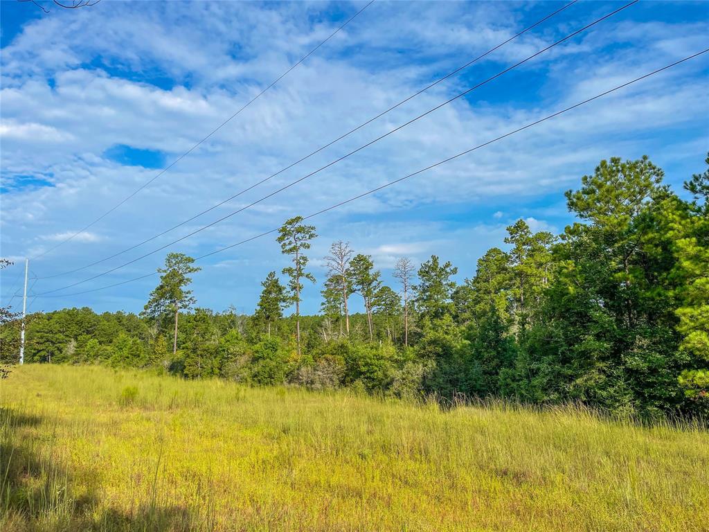 TBD Fm 2626, Newton, Texas image 9