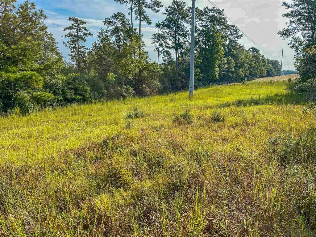 TBD Fm 2626, Newton, Texas image 8