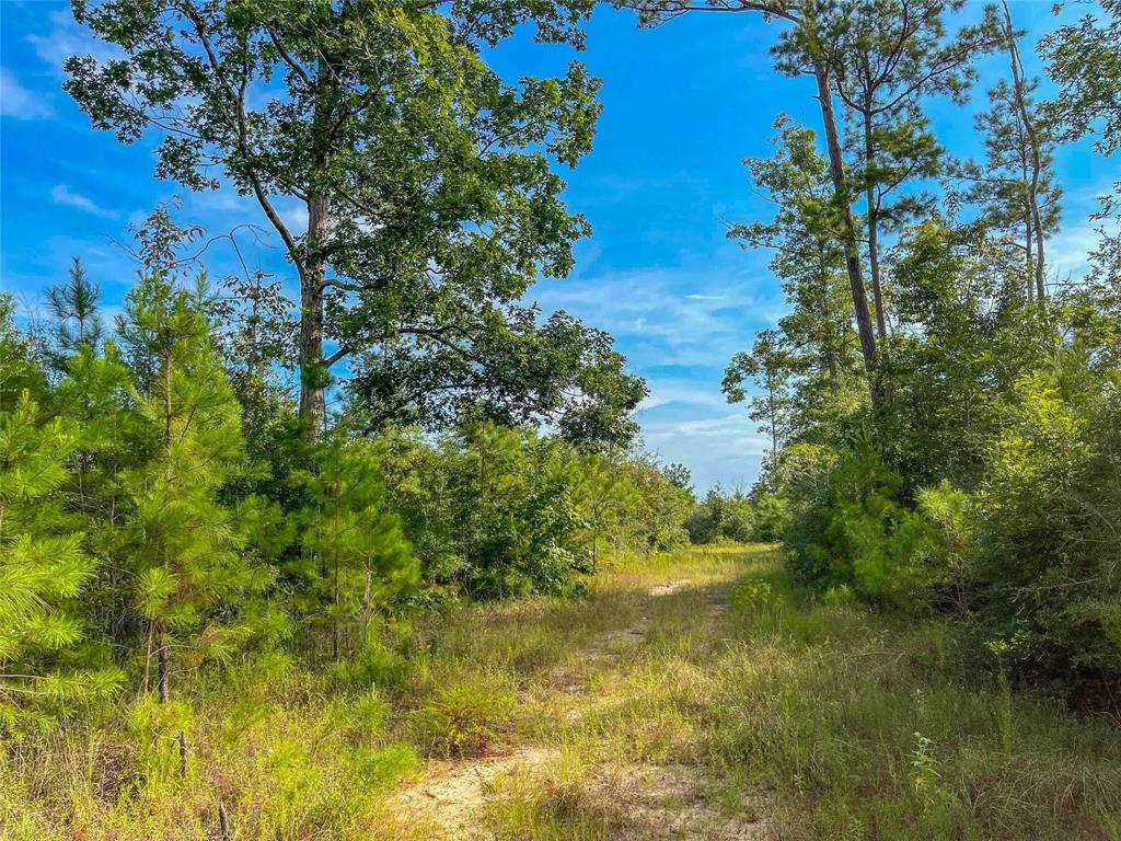 TBD Fm 2626, Newton, Texas image 17