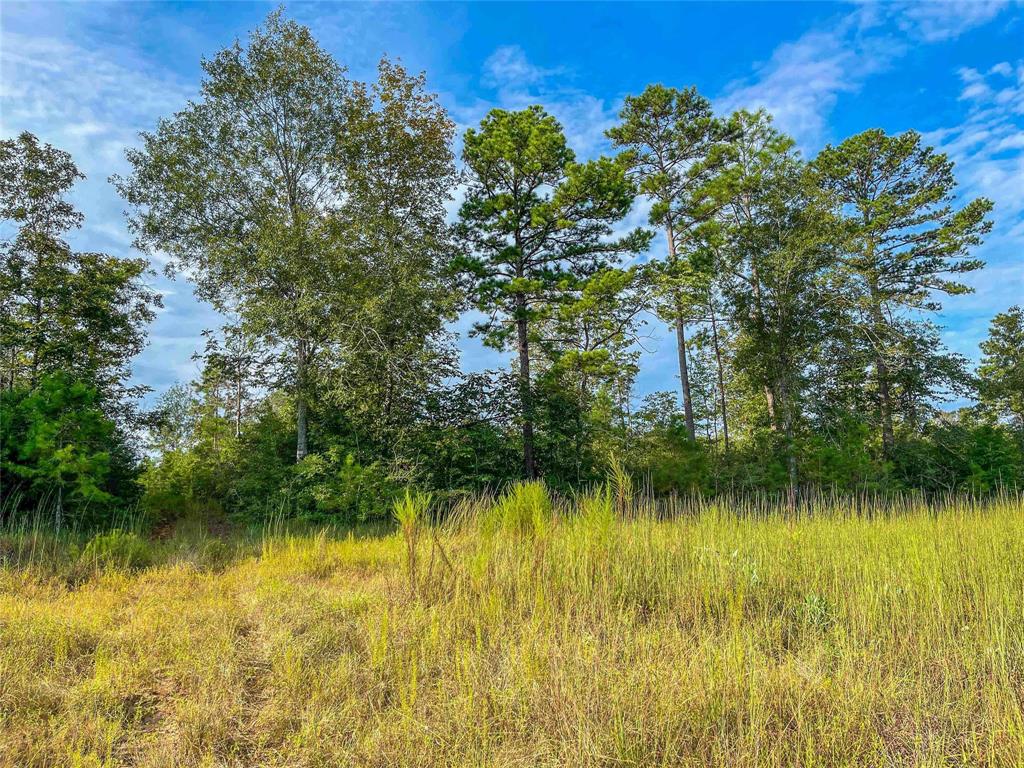 TBD Fm 2626, Newton, Texas image 11