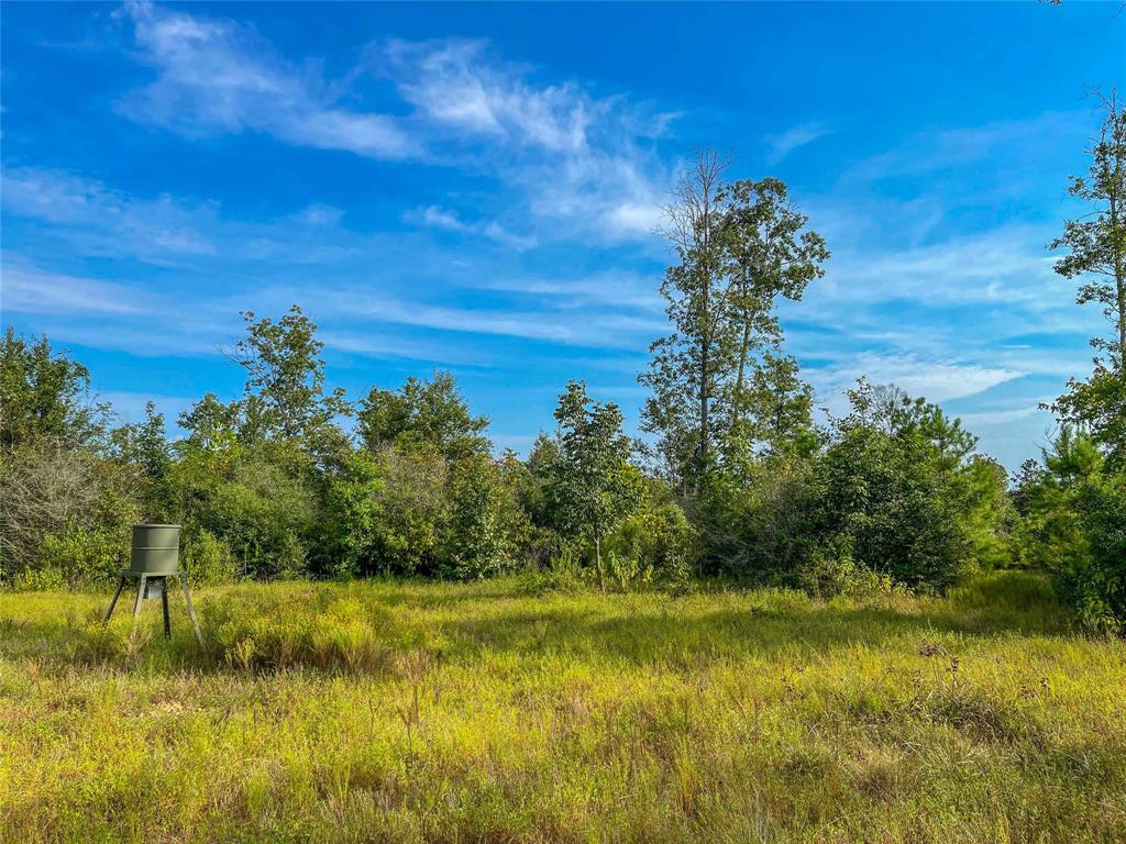 TBD Fm 2626, Newton, Texas image 19