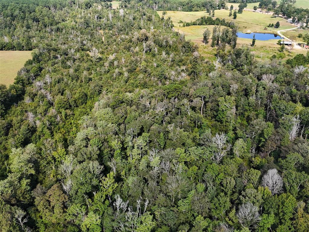 TBD Fm 2626, Newton, Texas image 36