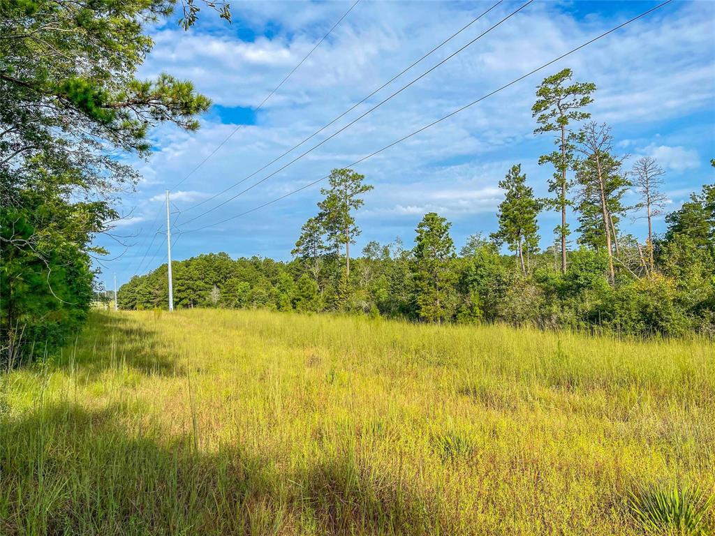 TBD Fm 2626, Newton, Texas image 7