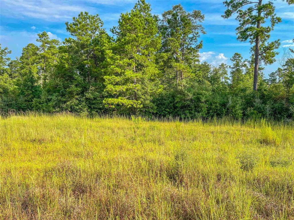 TBD Fm 2626, Newton, Texas image 10