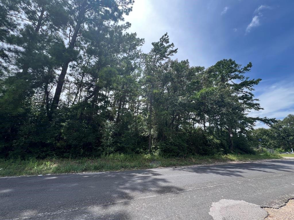 Tract #4 Lone Star Road, Navasota, Texas image 10