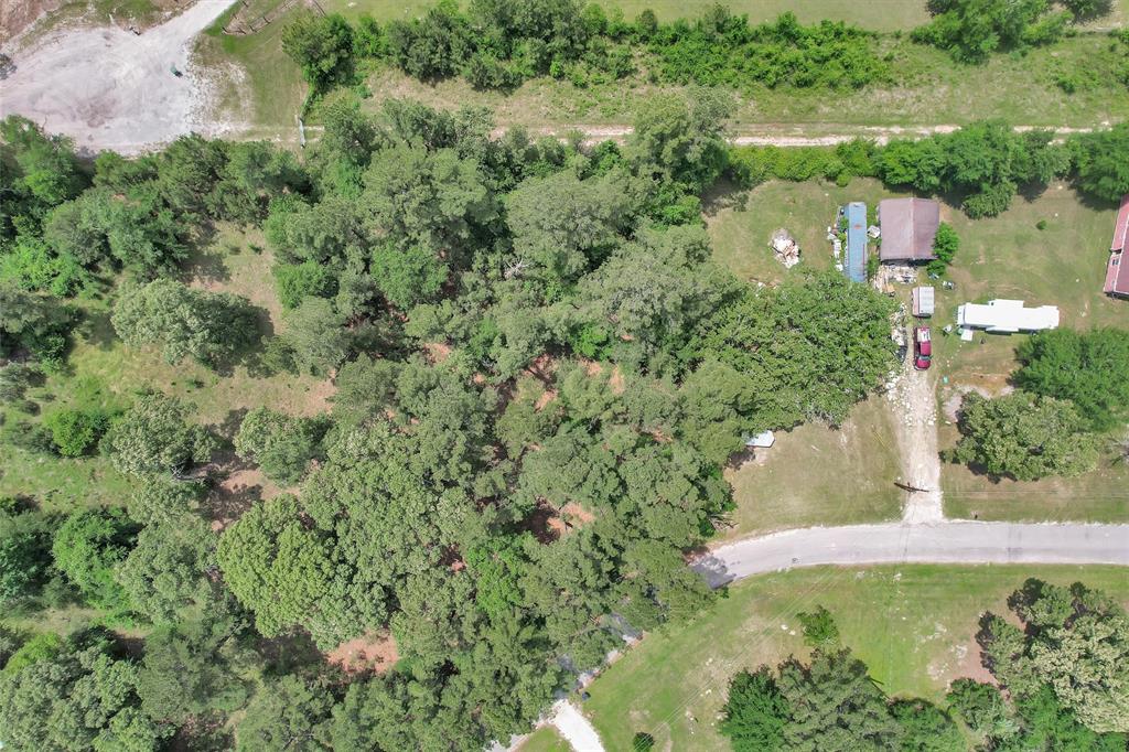 Oak Hill Drive, Huntsville, Texas image 2