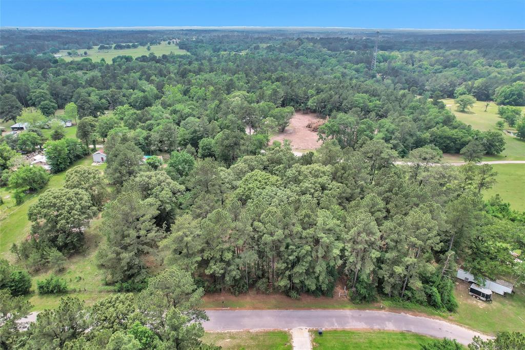 Oak Hill Drive, Huntsville, Texas image 7
