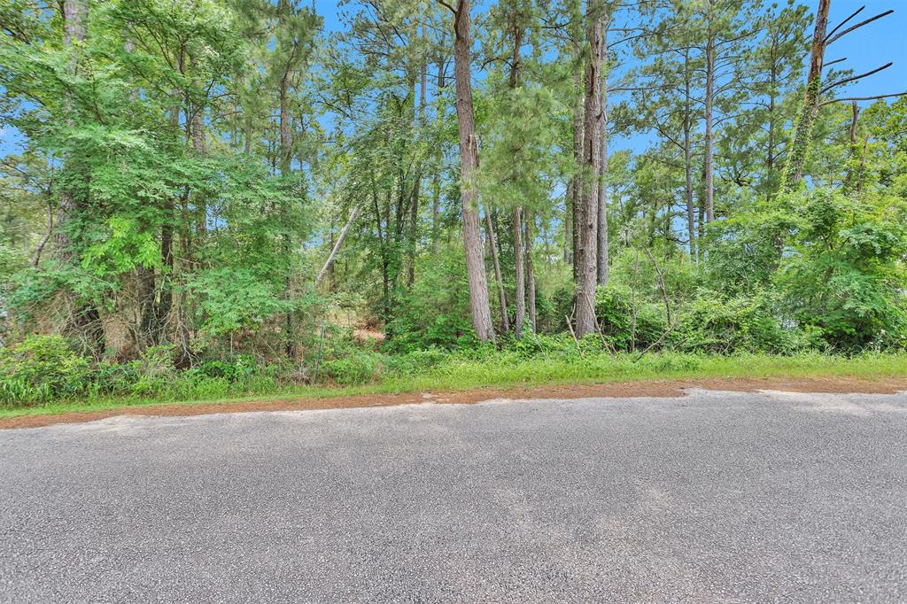 Oak Hill Drive, Huntsville, Texas image 4
