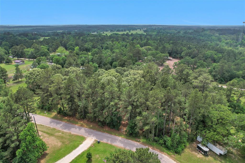 Oak Hill Drive, Huntsville, Texas image 6