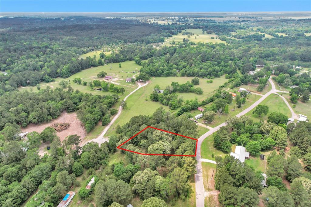 Oak Hill Drive, Huntsville, Texas image 10