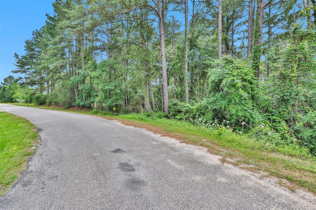 Oak Hill Drive, Huntsville, Texas image 5