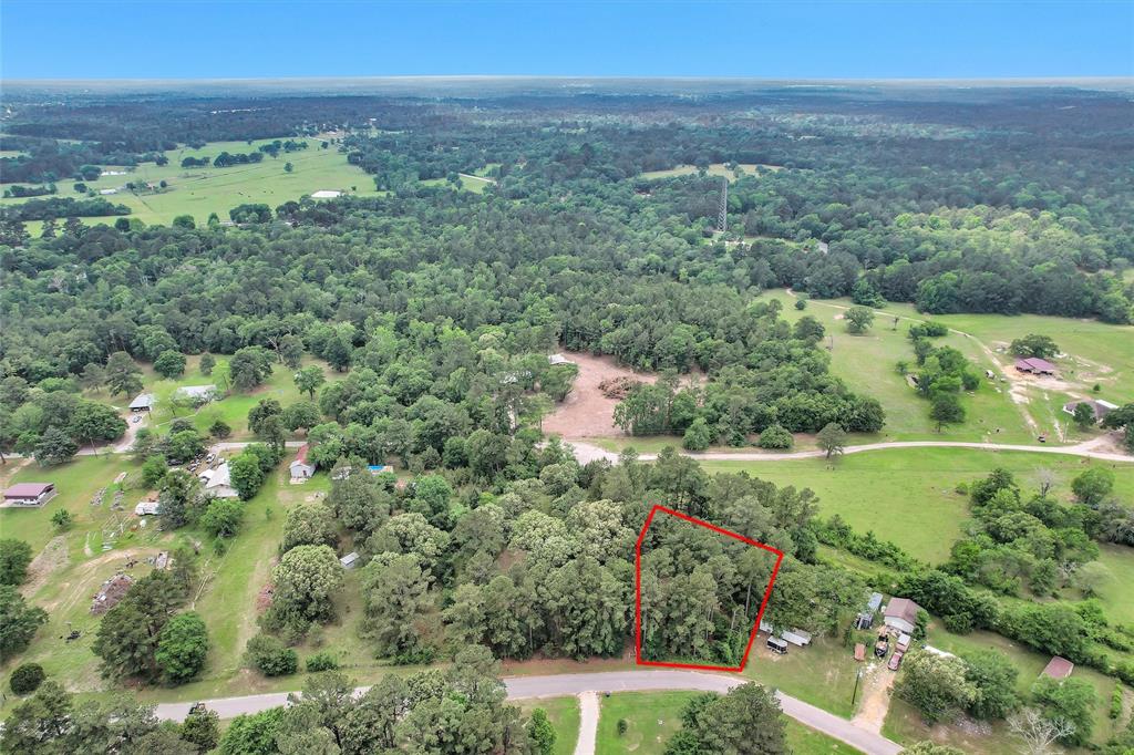 Oak Hill Drive, Huntsville, Texas image 8