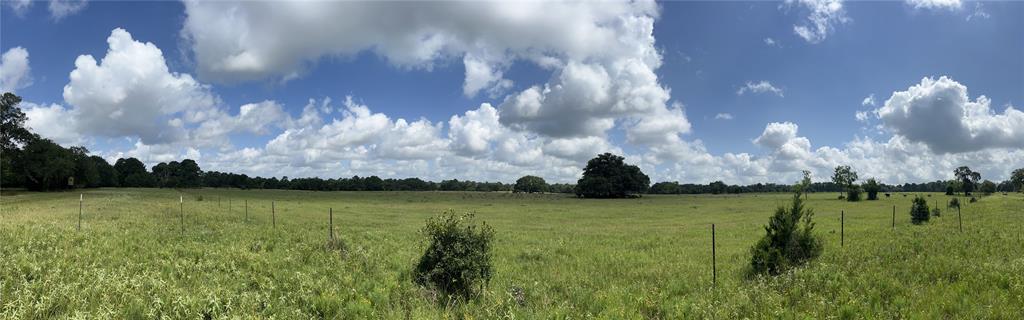 TBD Big Pasture Road, Columbus, Texas image 2