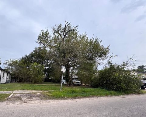 Photo of 4509 Perry Street, Houston, TX 77021 (MLS # 66150484)