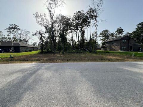 Photo of 0 Republic Road, New Caney, TX 77357 (MLS # 19769380)