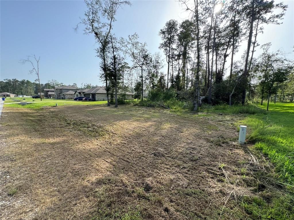 Photo of 0 Republic Road, New Caney, TX 77357 (MLS # 19769380)