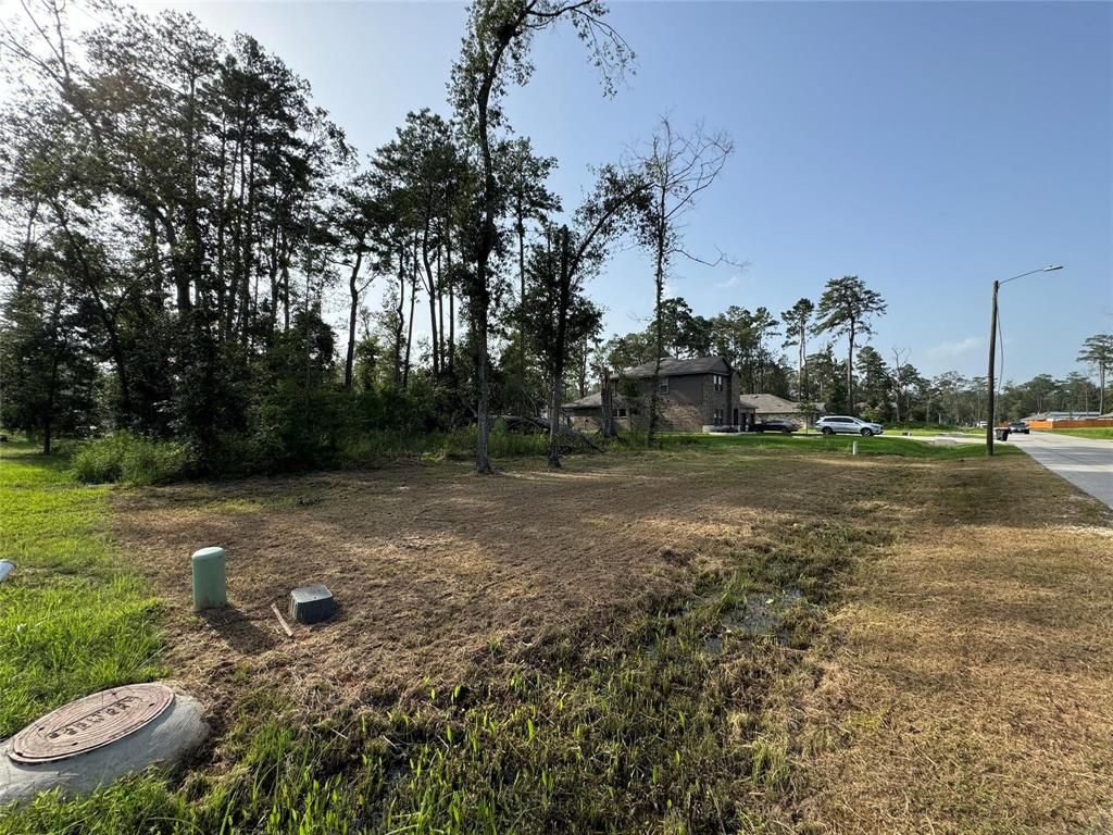 Photo of 0 Republic Road, New Caney, TX 77357 (MLS # 19769380)