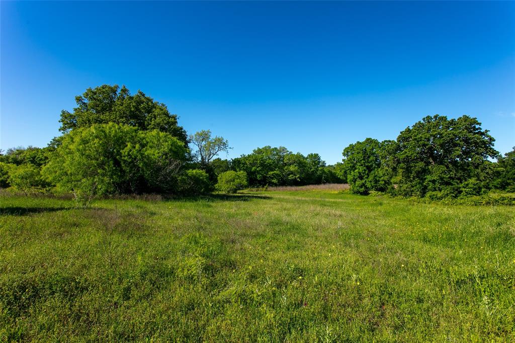 Lot 11A Brazos Court, Caldwell, Texas image 4