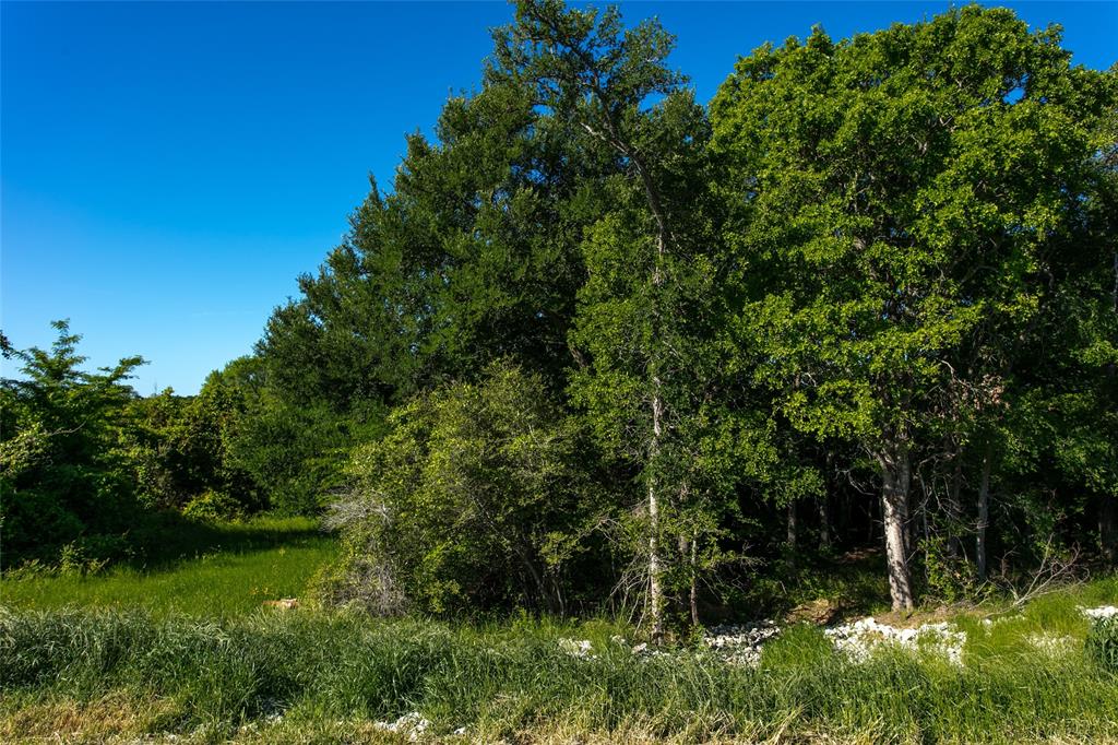 Lot 11A Brazos Court, Caldwell, Texas image 2