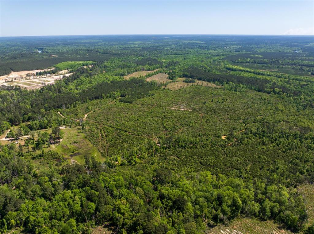 TBD State Hwy 63, Burkeville, Texas image 16