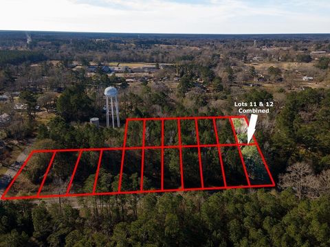 Vacant Land For Sale - R41015 & R41016 Farm Market 2109<br/> Angelina County, Huntington, TX 75949