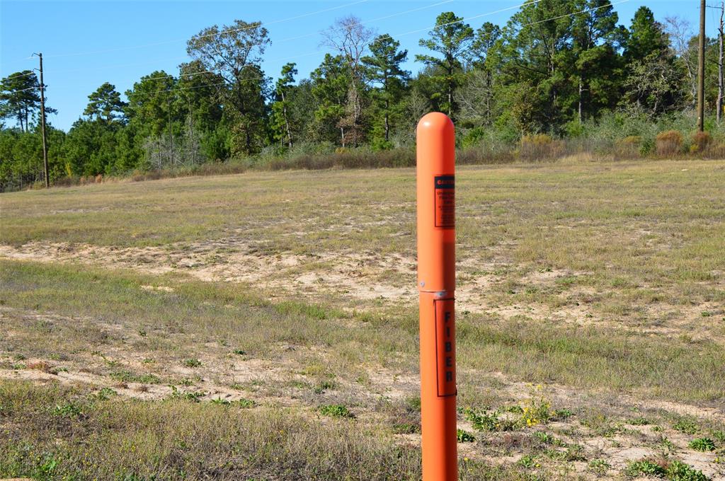 00010 Sh 249, Navasota, Texas image 3