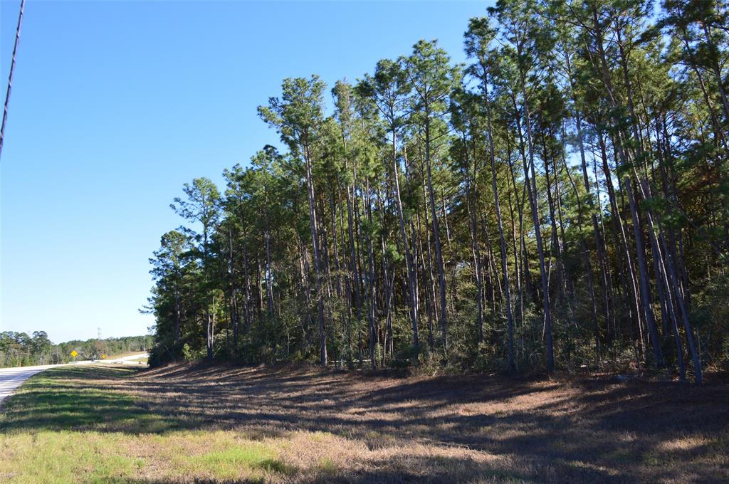 00010 Sh 249, Navasota, Texas image 8