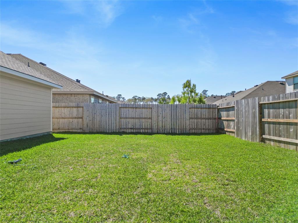 3061 Pampaneria Drive, Conroe, Texas image 19