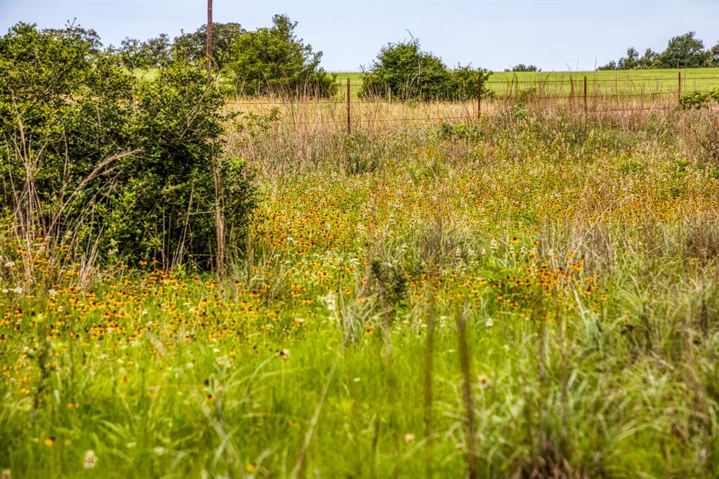 9808 Fm 908, Caldwell, Texas image 11