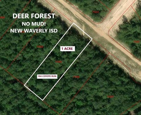 Photo of 104 Coyote Run, New Waverly, TX 77358 (MLS # 21102555)