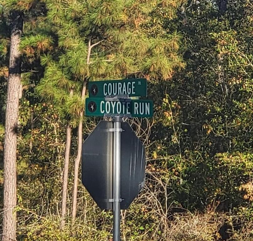 104 Coyote Run