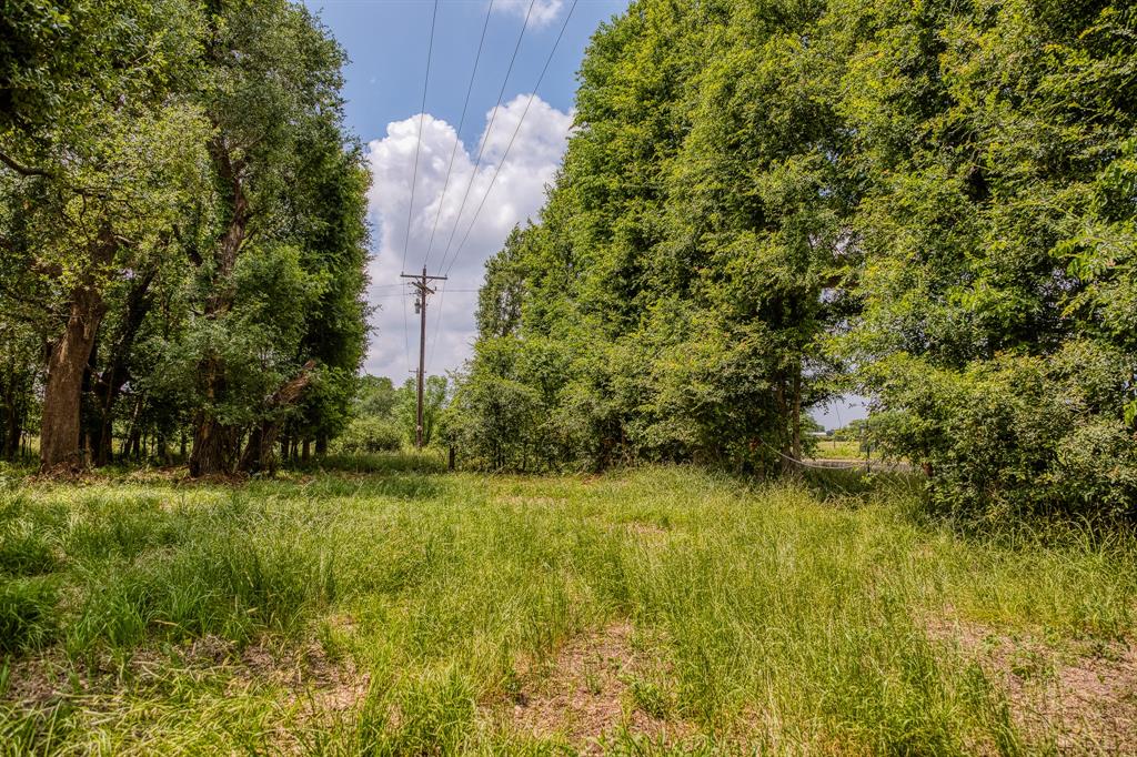 10314 County Road 276, Somerville, Texas image 5
