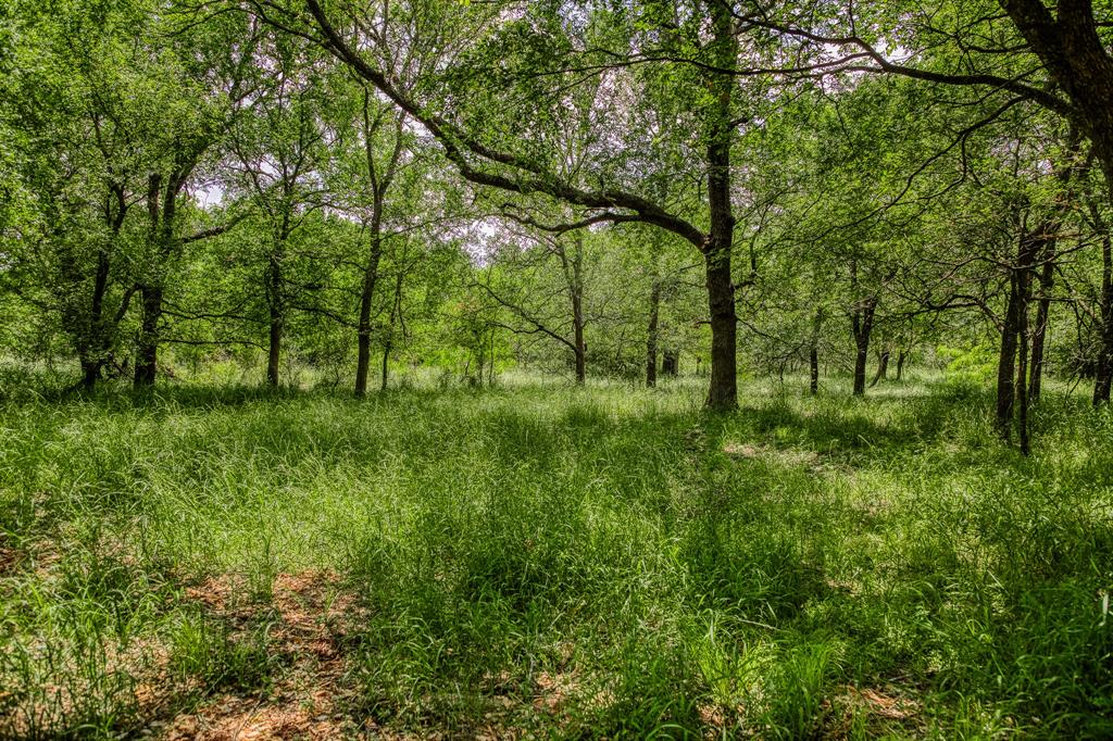 10314 County Road 276, Somerville, Texas image 7