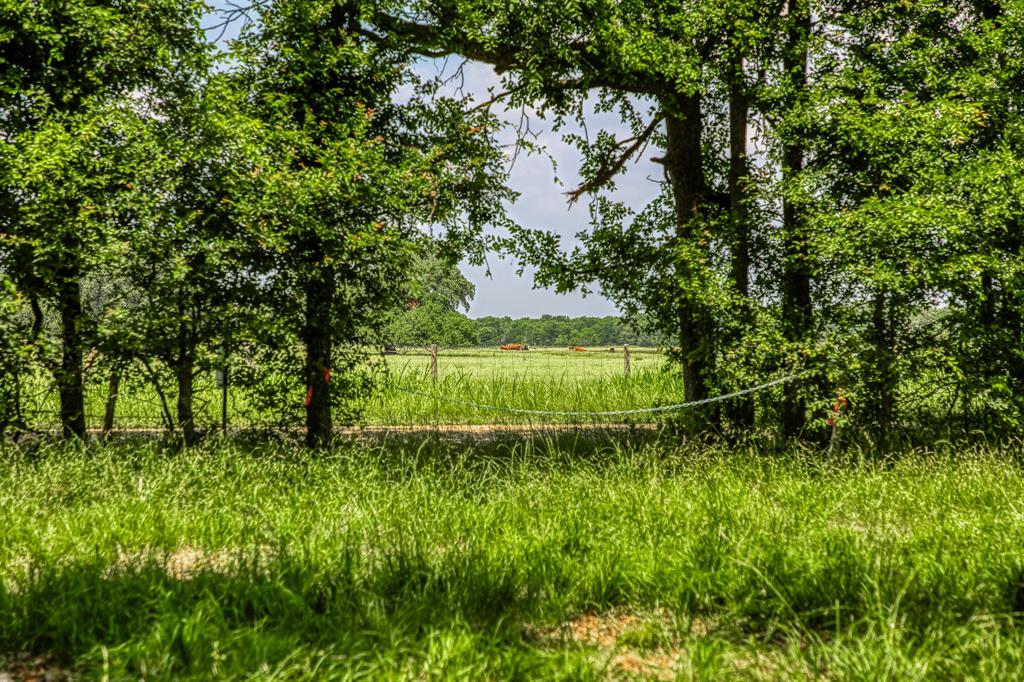 10314 County Road 276, Somerville, Texas image 4