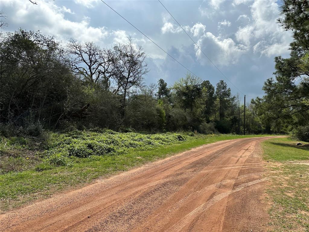 N/A Red Oak Drive, Hempstead, Texas image 10