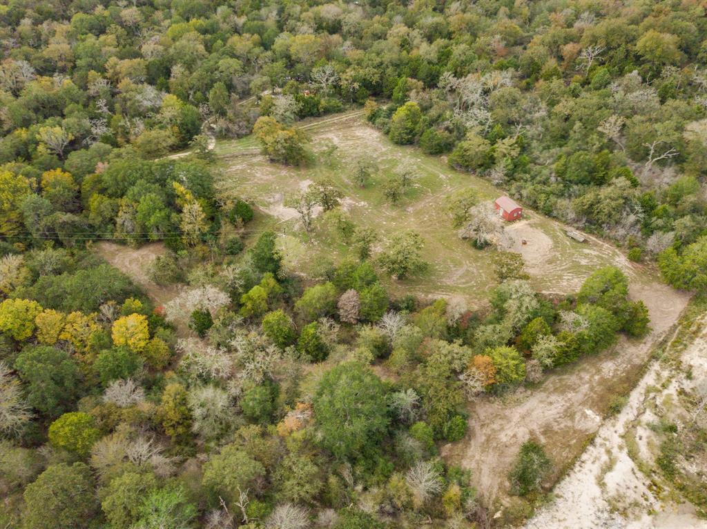 272 Pine Road, Somerville, Texas image 21