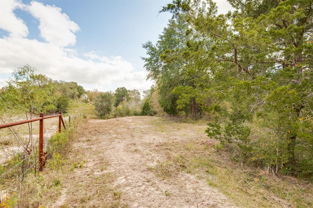 272 Pine Road, Somerville, Texas image 17
