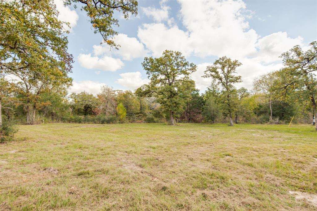 272 Pine Road, Somerville, Texas image 12