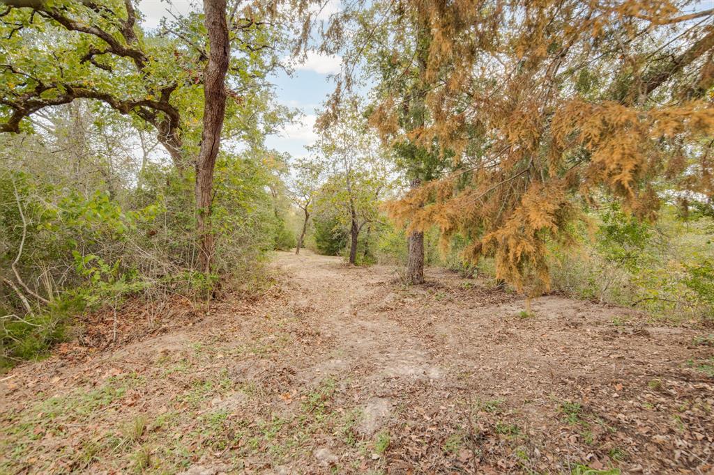 272 Pine Road, Somerville, Texas image 18