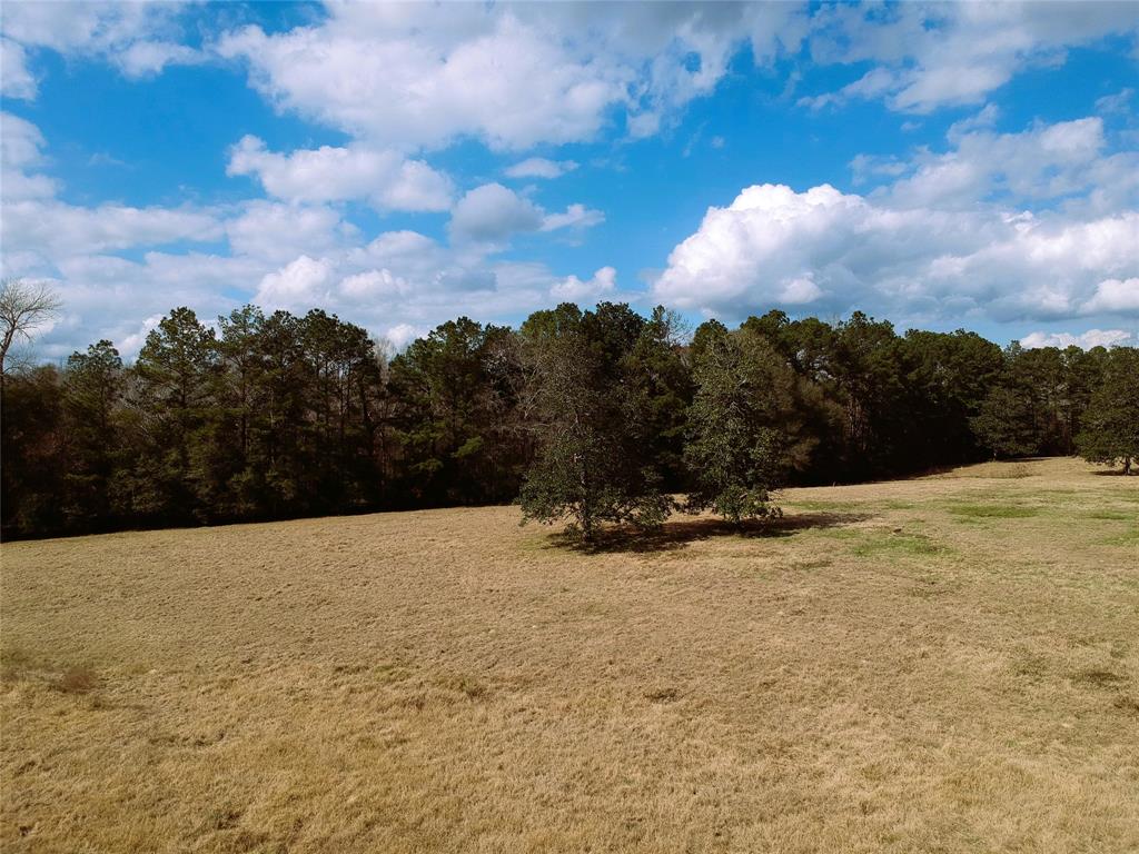 LOT 1 Lakeland Ranch Drive, Hillister, Texas image 21