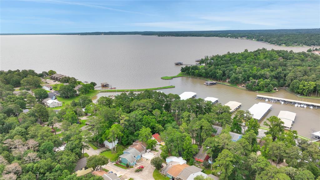 118 Harbour Lane, Coldspring, Texas image 23
