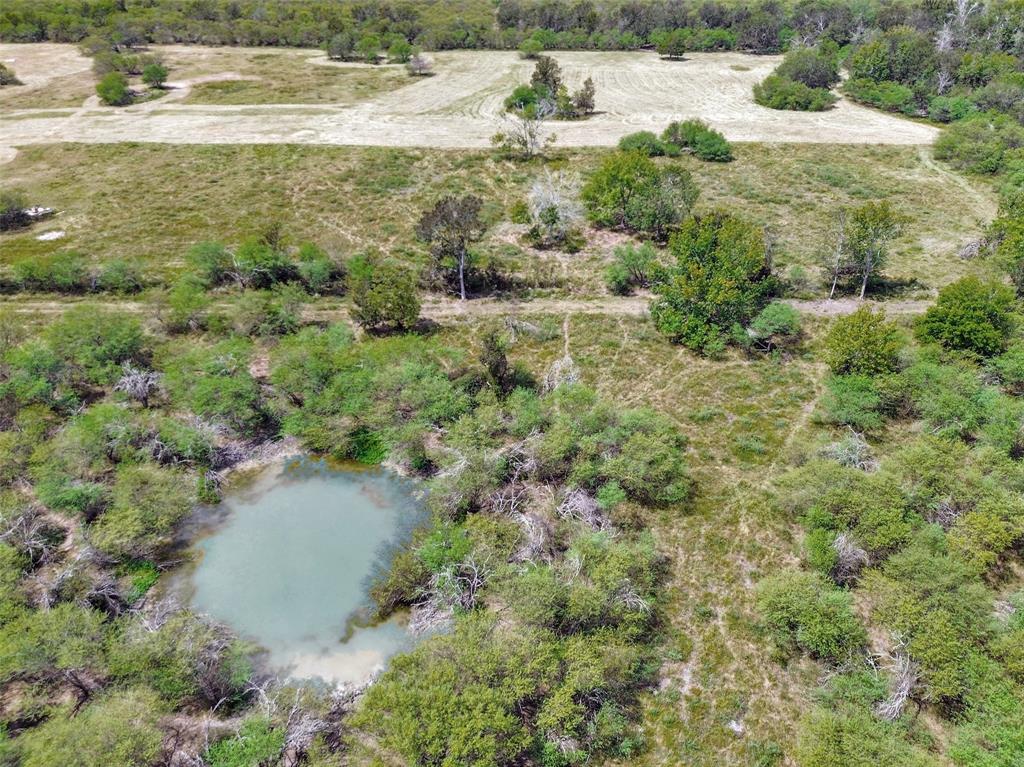 1417 Catbird Lane, Bellville, Texas image 11