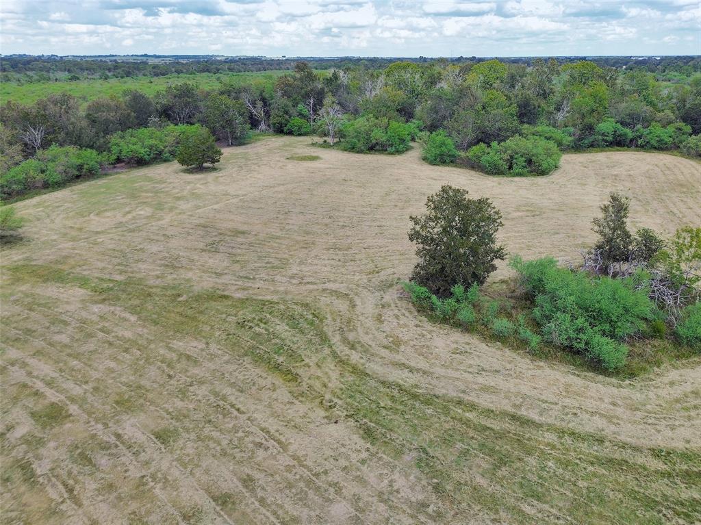 1417 Catbird Lane, Bellville, Texas image 17