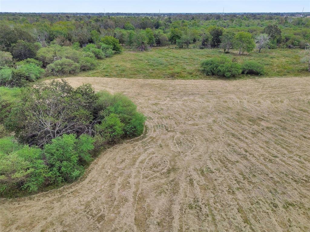 1417 Catbird Lane, Bellville, Texas image 19