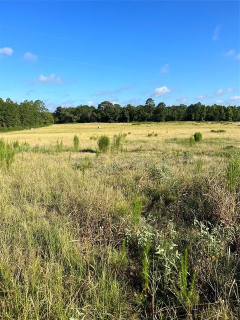 Vacant Land For Sale - TBD Cr 4535<br/> Houston County, Crockett, TX 75835
