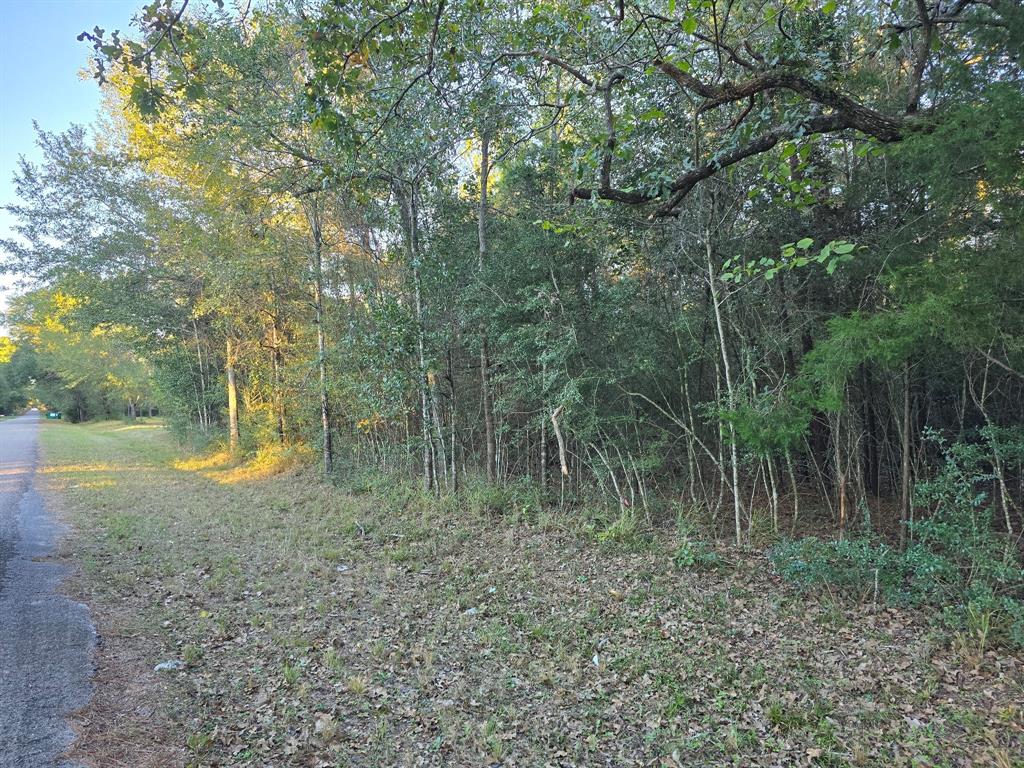 Lot 5 Tepee Trail, Hockley, Texas image 18