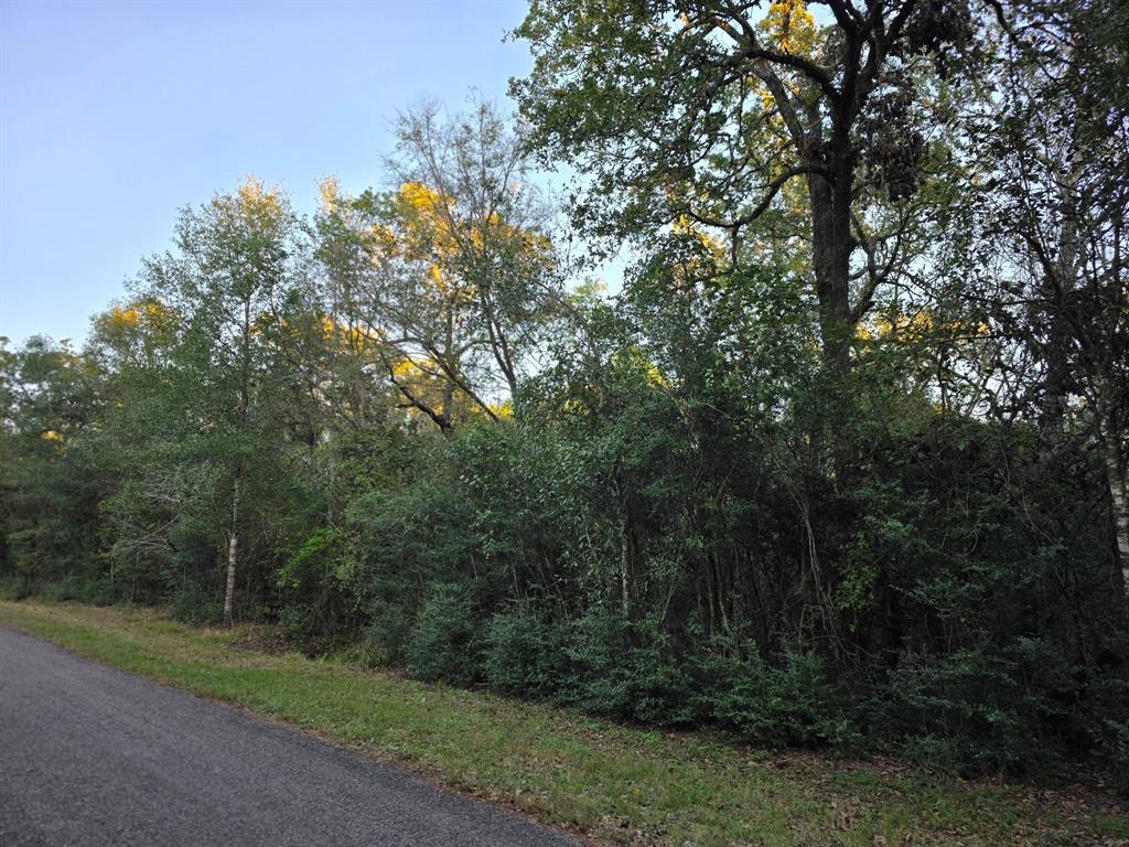 Lot 5 Tepee Trail, Hockley, Texas image 6