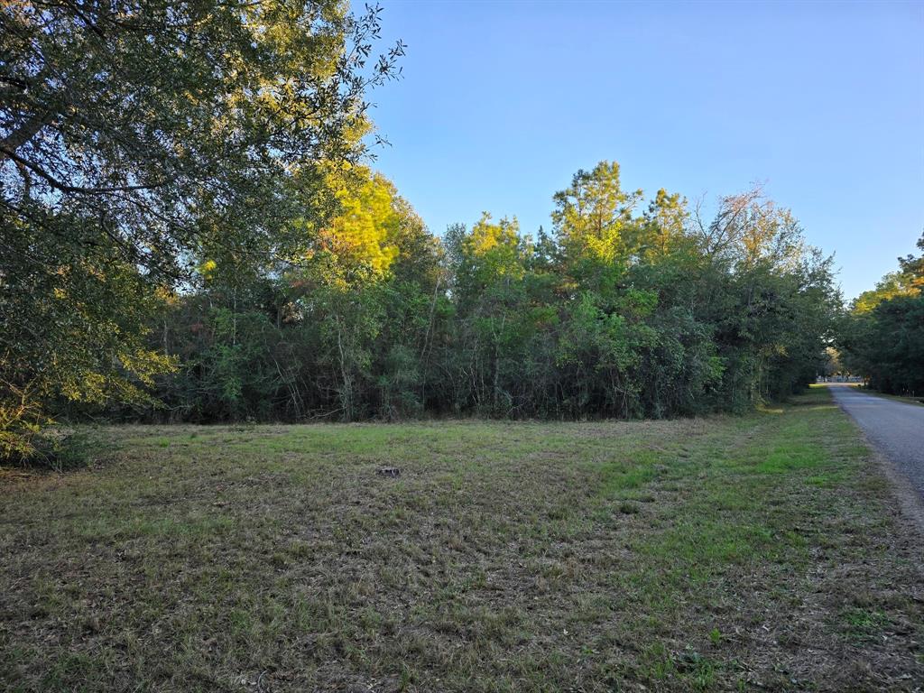 Lot 5 Tepee Trail, Hockley, Texas image 16